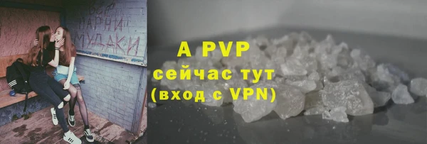 стафф Арсеньев