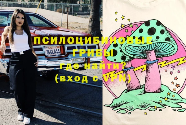 стафф Арсеньев