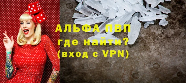 стафф Арсеньев