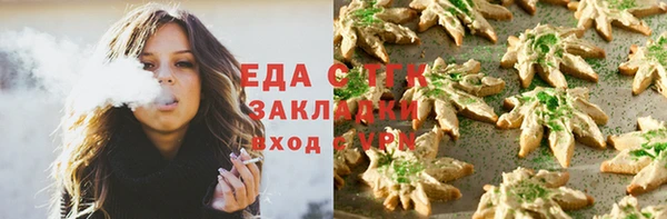 стафф Арсеньев