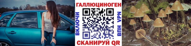 Галлюциногенные грибы мицелий  купить наркоту  мориарти телеграм  Константиновск 